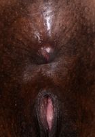 Kahlista Stonem from ATK Natural & Hairy
