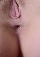 Kasey Warner in upskirts and panties, Kasey Warner (kas007) ATK Natural & Hairy: Kasey Warner (Kasey Warner in upskirts and panties)