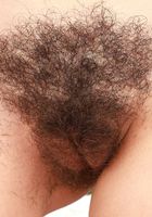 Kasey Warner Shorts' Spreads, Kasey Warner (kas007) ATK Natural & Hairy: Kasey Warner (Kasey Warner Shorts' Spreads)