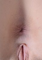 Kasey Warner in upskirts and panties, Kasey Warner (kas007) ATK Natural & Hairy: Kasey Warner (Kasey Warner in upskirts and panties)