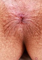 Kate Legend from ATK Exotics