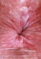 Katerina Karson from ATK Petites