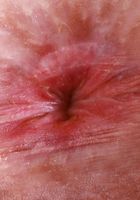 Krystal Palmer is all dolled up, Krystal Palmer (kry021) ATK Petites: Krystal Palmer (Krystal Palmer is all dolled up)