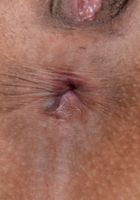 Lilly Evans in latinas, Lilly Evans (lil051) ATK Exotics: Lilly Evans (Lilly Evans in latinas)