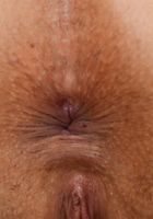 Luna Leve in latinas, Luna Leve (lun008) ATK Exotics: Luna Leve (Luna Leve in latinas)