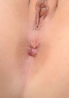 Maci Winslett from ATK Petites