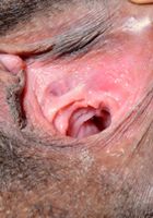 Olivia Green in exotic and hairy, Olivia Green (oli032) ATK Natural & Hairy: Olivia Green (Olivia Green in exotic and hairy)