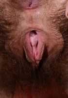 Pearl Sage from ATK Natural & Hairy