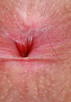 Pearl Sage from ATK Natural & Hairy