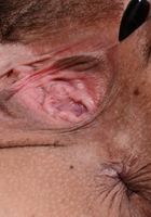 Penelope Reed in exotic and hairy, Penelope Reed (pen027) ATK Natural & Hairy: Penelope Reed (Penelope Reed in exotic and hairy)