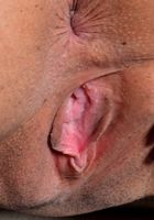 Penelope Reed in latinas, Penelope Reed (pen027) ATK Exotics: Penelope Reed (Penelope Reed in latinas)