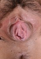 Penelope Reed in exotic and hairy, Penelope Reed (pen027) ATK Natural & Hairy: Penelope Reed (Penelope Reed in exotic and hairy)