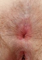 Quinn Helix from ATK Natural & Hairy