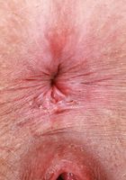 Remi Ferdinand Lingerie Curves and Fur, Remi Ferdinand (rem005) ATK Natural & Hairy: Remi Ferdinand (Remi Ferdinand Lingerie Curves and Fur)