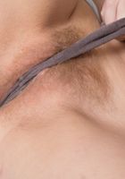 Rococo Royalle from ATK Natural & Hairy