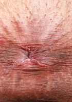 Sultry in pink Ryder Rey, Ryder Rey (ryd002) ATK Petites: Ryder Rey (Sultry in pink Ryder Rey)