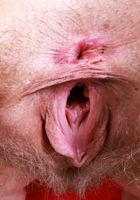 ATK Natural & Hairy: Sahara Skye (Sahara Skye rockin' the cow-print bikini)