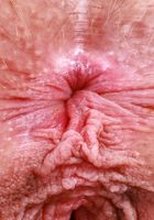 Sahara Skye from ATK Natural & Hairy