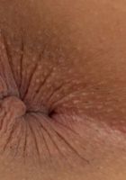 Savannah Sixx from ATK Exotics