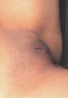 Selma in latinas, Selma (sel003) ATK Exotics: Selma (Selma in latinas)
