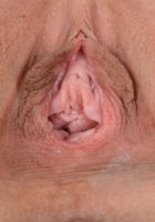 Jasmine Wolff seduces you with her delicious pussy, Jasmine Wolff (sha078) ATK Archives: Jasmine Wolff (Jasmine Wolff seduces you with her delicious pussy)