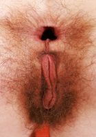 Sia Wood Shows off her Ample Fur and Gapes, Sia Wood (sia004) ATK Natural & Hairy: Sia Wood (Sia Wood Shows off her Ample Fur and Gapes)