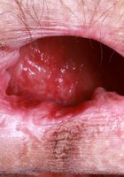 Sia Wood from ATK Natural & Hairy