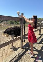 ATK Girlfriends: Summer Renee (ATK Girlfriends Summer Renee Photo Set)