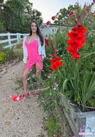 ATK Girlfriends Summer Renee Photo Set, Summer Renee (sum030) ATK Girlfriends: Summer Renee (ATK Girlfriends Summer Renee Photo Set)