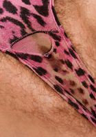Tugboat Annie from ATK Natural & Hairy