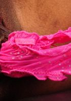 Valarie Gibson in upskirts and panties, Valarie Gibson (val030) ATK Exotics: Valarie Gibson (Valarie Gibson in upskirts and panties)