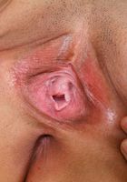 Venus in latinas, Venus (ven005) ATK Exotics: Venus (Venus in latinas)