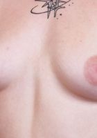 Venus Vixen Spreads Up Close, Venus Vixen (ven021) ATK Galleria: Venus Vixen (Venus Vixen Spreads Up Close)