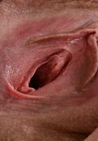 Dakota Rose in mature and hairy, Dakota Rose (ver092) ATK Natural & Hairy: Dakota Rose (Dakota Rose in mature and hairy)