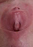 Veronica Valentine from ATK Exotics