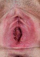 Veronica Valentine from ATK Exotics