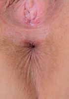 Vestacia JonQuil from ATK Natural & Hairy