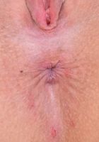 Violet Winters from ATK Exotics