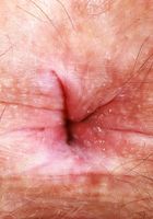 Violet Viper from ATK Natural & Hairy