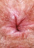 Violet Viper from ATK Natural & Hairy