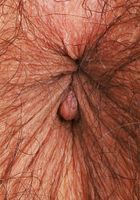 Zoey Jpeg from ATK Natural & Hairy